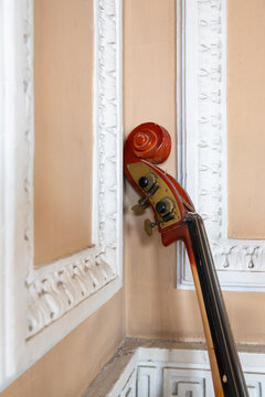 Double bass scroll against decorated wall
