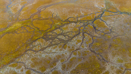 Intricate Patterns of Peatlands in Tierra del Fuego