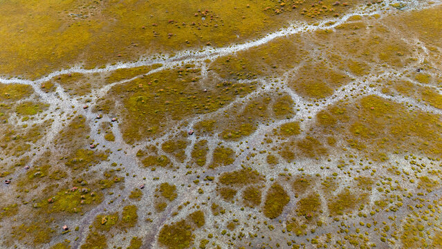 Intricate Patterns of Nature in Tierra Del Fuego