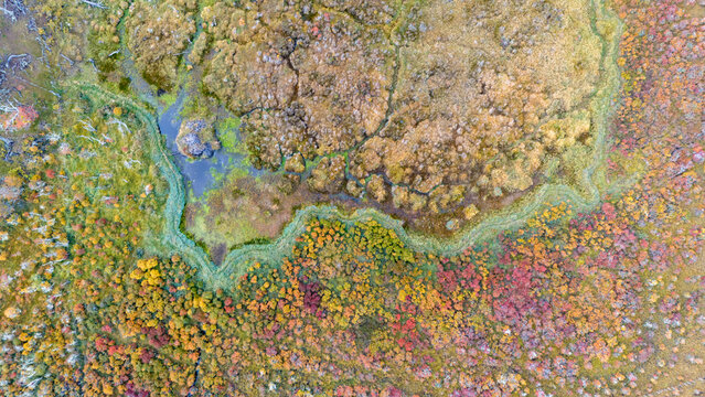 Autumn Aerial View of a Vibrant Wetland