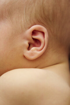 new born baby ear detail