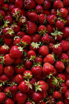 strawberry texture