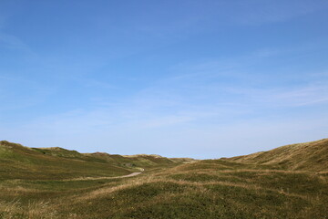 the dunes