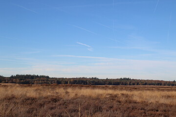 de heide