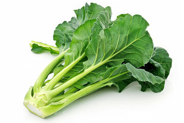 A bunch of fresh green collard greens isolated on a white background.