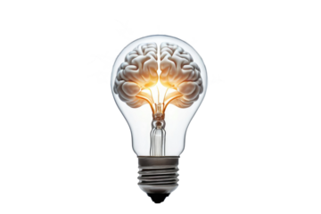 High resolution, conceptual stock photo capturing a cleverly designed bulb, shaped intricately like a human's brain and boldly emitting a gleaming, fresh light
