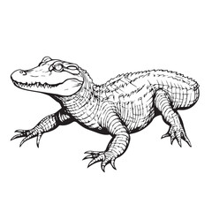 Fototapeta premium crocodile in cartoon, doodle style . Image for t-shirt, web, mobile apps and ui. Isolated 2d vector illustration in logo, icon, sketch style, Eps 10, black and white. AI Generative