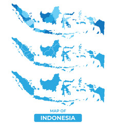 Vector Blue Indonesia political maps with borders regions simple flat illustration set 