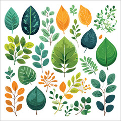 Botanical Element Pattern