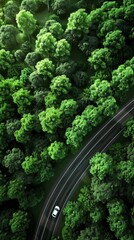 Aerial View of a Winding Road Through a Lush Forest