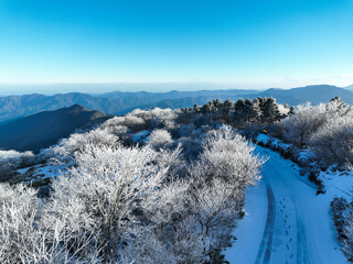 高知県仁淀川町　真冬の中津明神山　山頂付近の風景