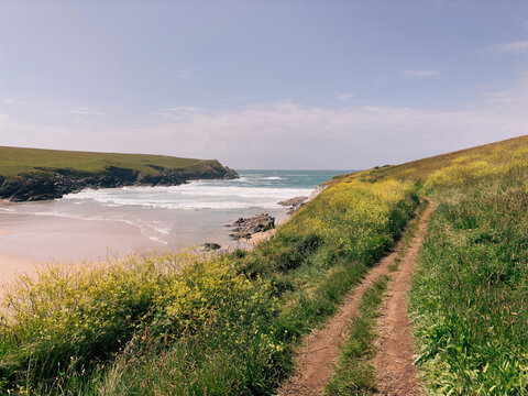 Wild flowers and Polly Joke beach in Cornwall