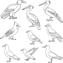 Obraz premium Birds Kids coloring Book vector silhouette image