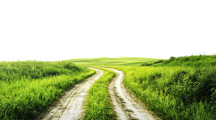 Fototapeta premium Winding dirt path through lush green fields on a sunny day isolated on transparent background