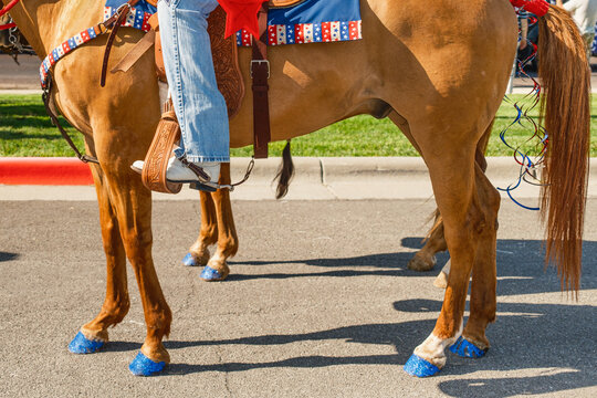 Horse In 4th of July Parade