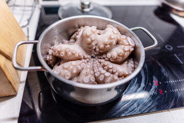 From above of whole raw octopus boiling in pot on modern black induction cooker