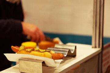 tasty hot dog on the plate