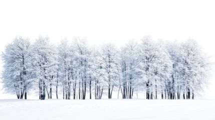 Snow-covered trees in winter landscape isolated on transparent background