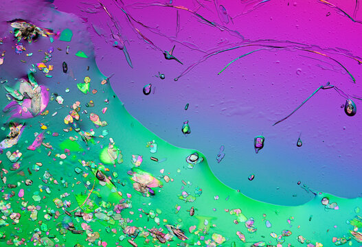 micograph of Ibuprofen suspension crystals 