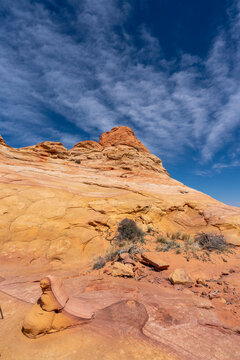 Paria Canyon-Vermilion Cliffs Wilderness