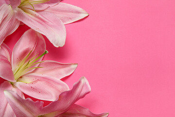 Fototapeta premium Beautiful lily flowers on pink background