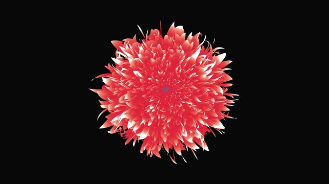 floral gradient background nature artistry shifting stock illustrator flower icon animation.