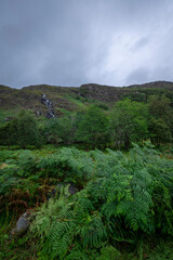 A serene natural landscape featuring a grassy area with lush vegetation, trees, and majestic mountains in the background. This scenic view captures the beauty of a peaceful outdoor setting, perfect fo