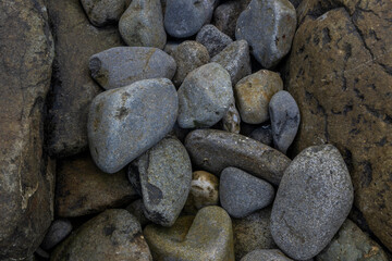 A group of rocks outdoors, featuring various types such as boulders, limestone, and igneous rock. The image shows rocks scattered on the ground of different sizes and shapes.