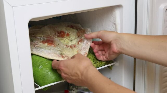 Broken down freezer with defrosted food, refrigerator malfunction 