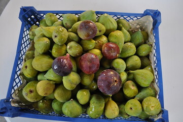The delicious fresh figs for a healthy diet
