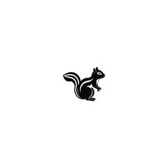 black and white rabbit