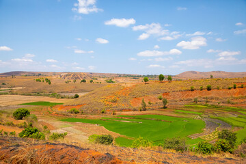 Typical Madagascar landscape rice terrace fields