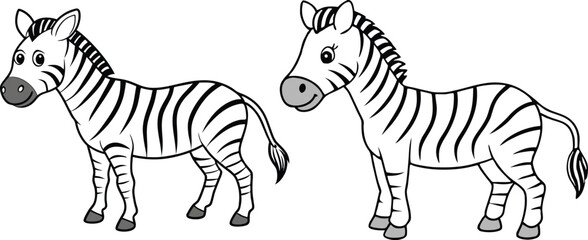 Vector of cartoon zebra illustration on white  © Tanvir