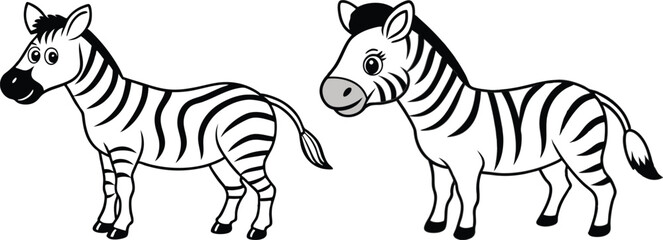 Vector of cartoon zebra illustration on white  © Tanvir