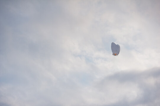 Chinese Lantern 