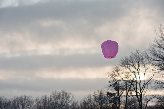 Chinese Lantern 