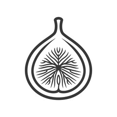 Black and white line drawing of a halved fig