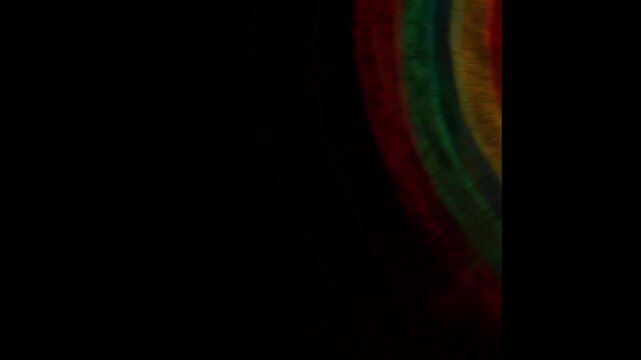 rasante Tunnel-Wasserrutsche mit LED-Beleuchtung, rutschen, Erfrischung, Spa&szlig;, Schwimmbad, Freibad, schnell
