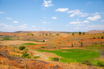 Fototapeta premium Typical Madagascar landscape rice terrace fields