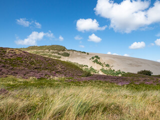 Uwe Düne on the island Sylt