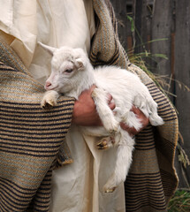 Shepherd with a sheep in his arms © Marina
