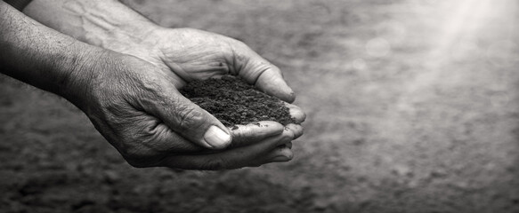 Man's hands holding a handful of earth © Marina