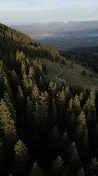 Gurnigel Wald Dronen Video, Schweiz