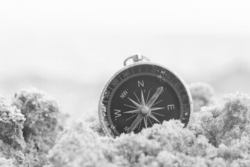 Classic navigation compass on natural background