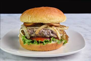 onion mushroom  burger on a brioche bun