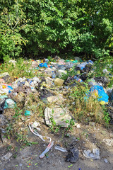 Kyiv, Ukraine, 19.08.2024. Piles of garbage in the forest, random dumping in nature. Stink heap, plastic bag and bottles, rubbish in polluted grass of nature landscape background. ecology. editorial
