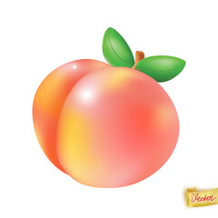 Peach fruit  flying on white background realistic element. Vector juicy art