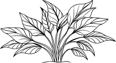 continuous single line drawing of lush plant , line art vector illustration