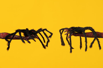 Hands of zombies with spiders on yellow background. Halloween celebration