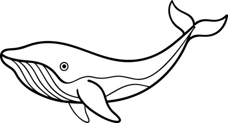 Minimalistic Black and White Line Drawing of a Blue Whale in Side Profile